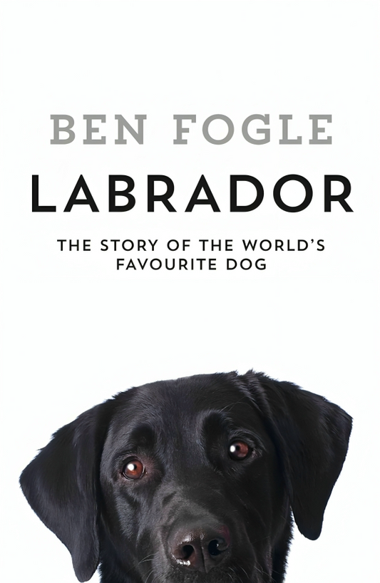 Labrador: The World’s Favourite Dog