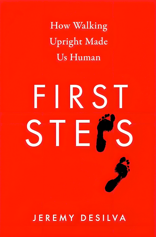 First Steps: How Walking Upright Made Us Human