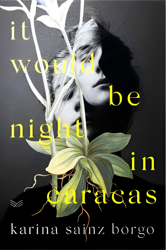 It Would Be Night In Caracas