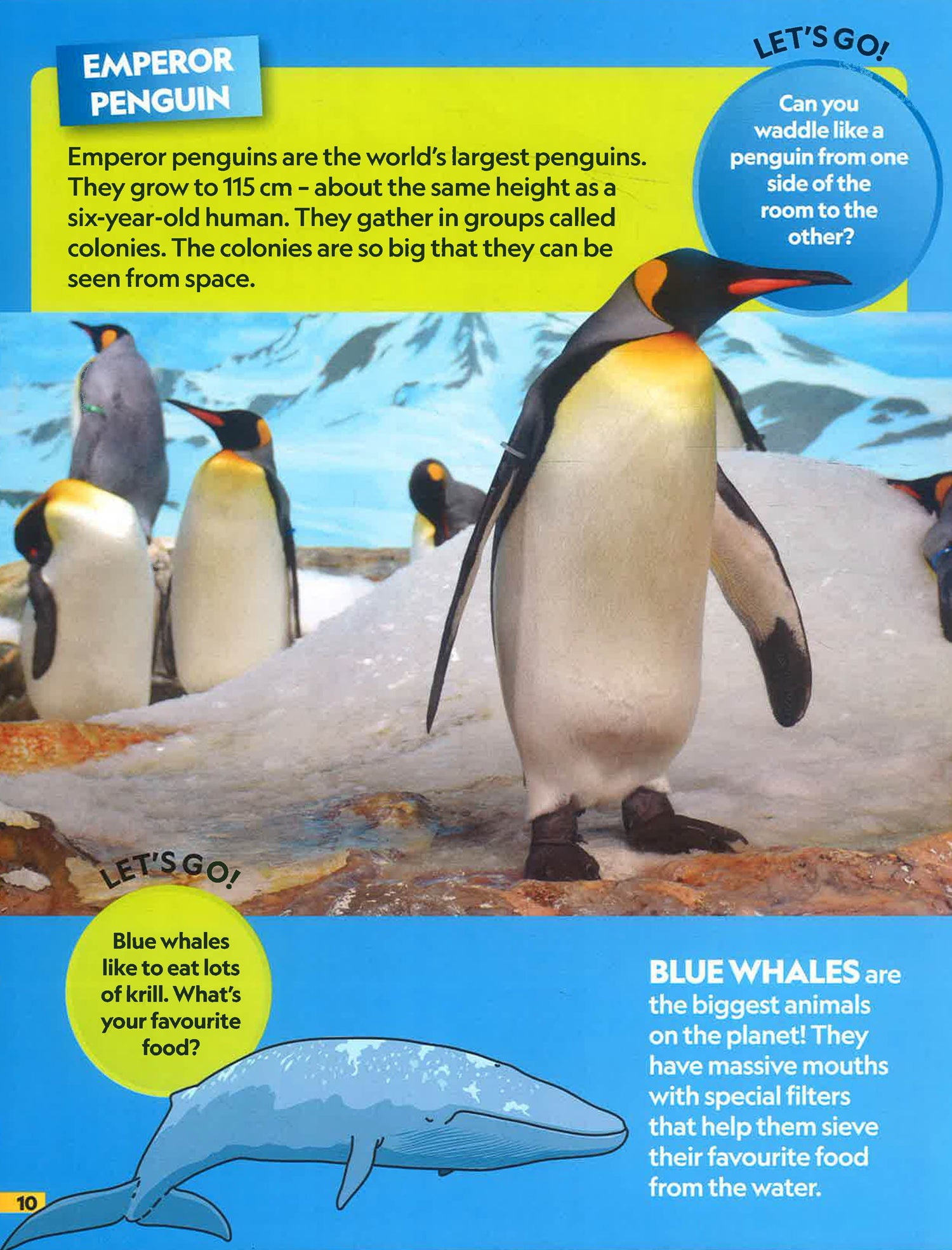 National Geopraphic Kids: Find It! Explore It! Ocean – BookXcess