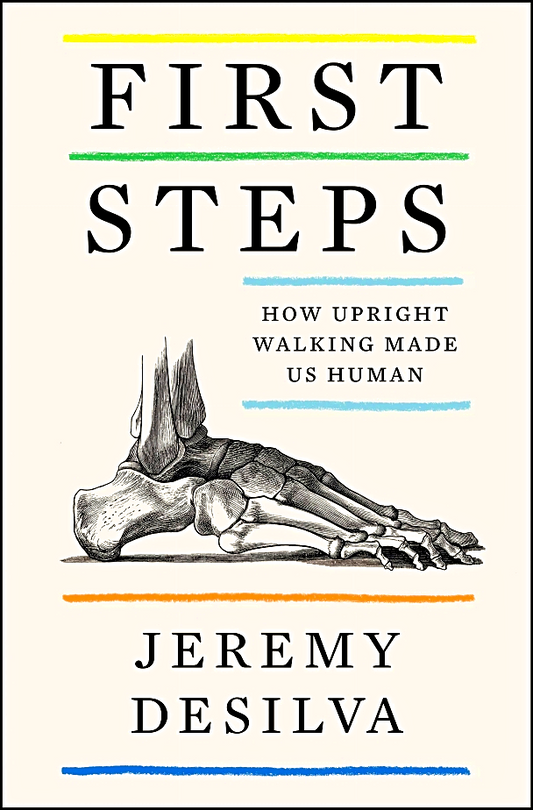 First Steps: How Upright Walking Made Us Human