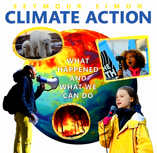 Climate Action: What Happened And What We Can Do