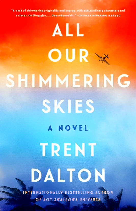 All Our Shimmering Skies: A Novel