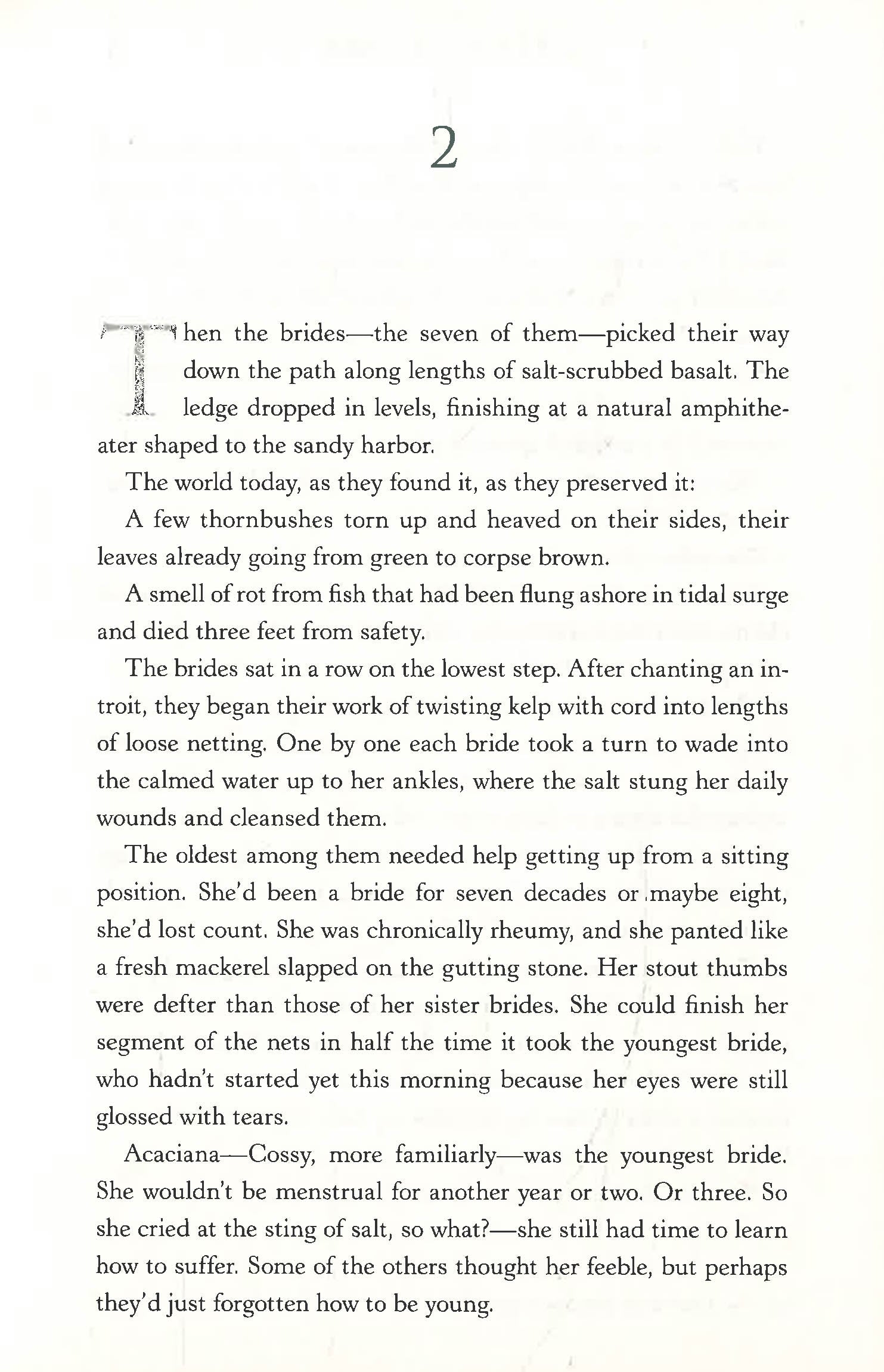 Another Day #1: The Brides Of Maracoor by Gregory Maguire – book cover