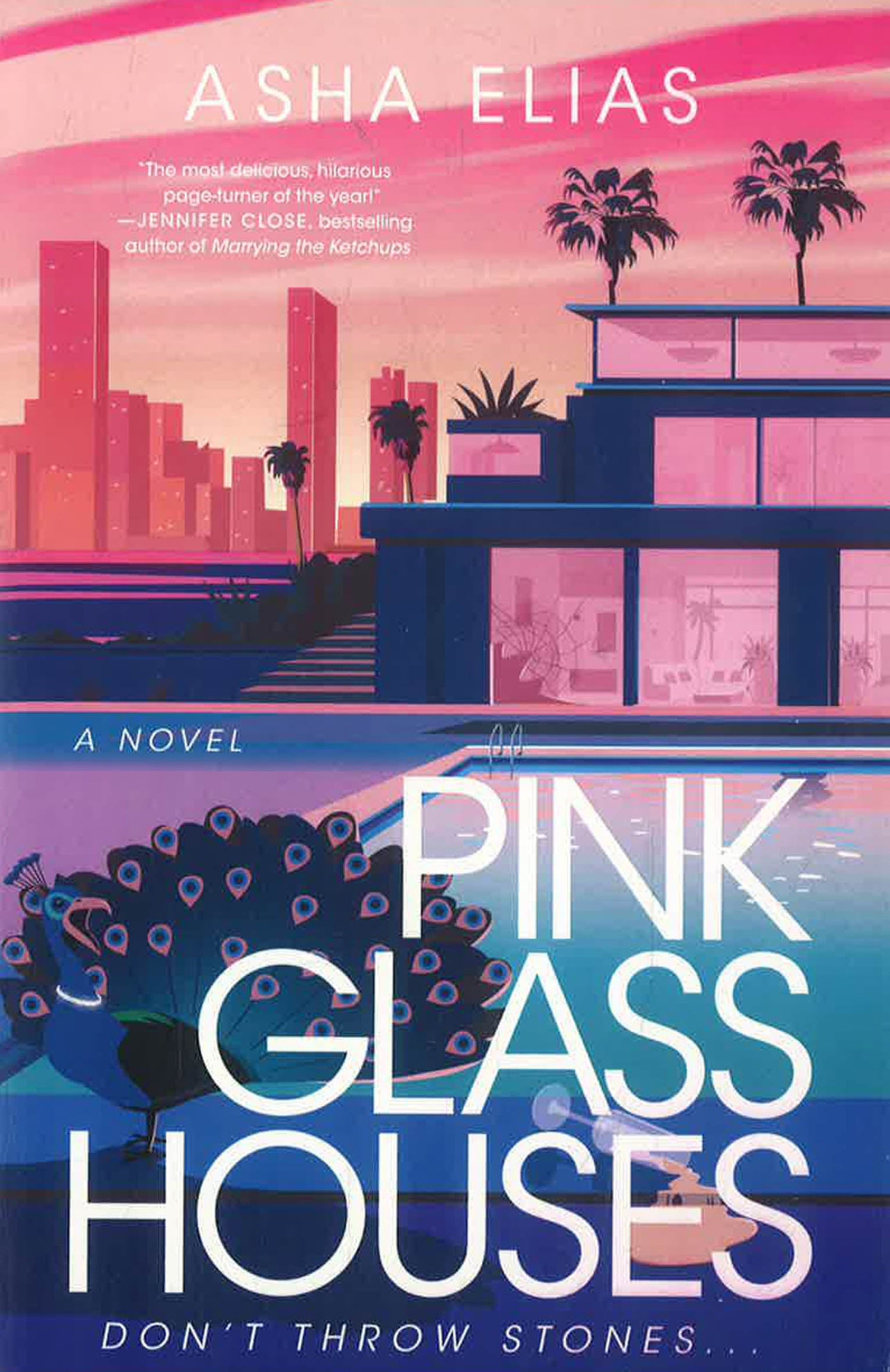 Pink Glass Houses by Asha Elias – book cover