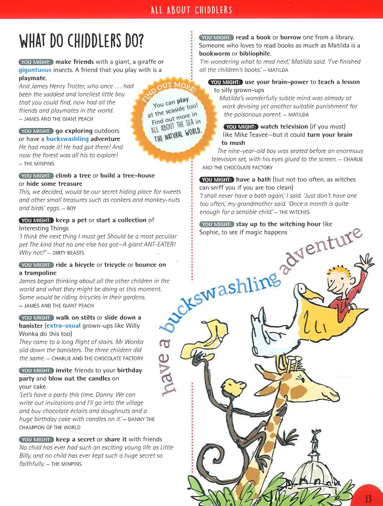 Roald Dahl Thesaurus – BookXcess