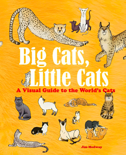 Big Cats, Little Cats: A Visual Guide To The World'S Cats