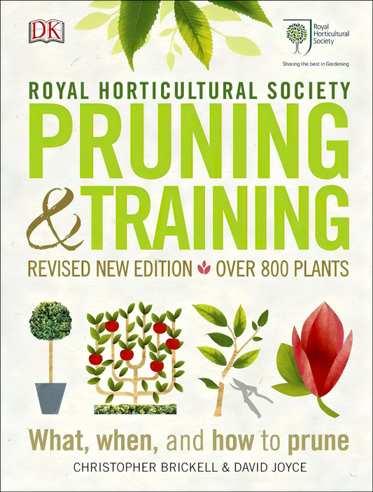 DK RHS Pruning & Training