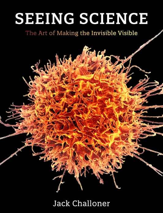 Seeing Science: The Art Of Making The Invisible Visible
