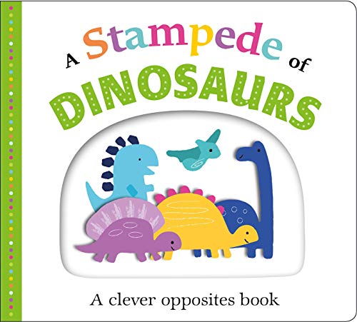 Picture Fit Board Books: A Stampede Of Dinosaurs (Small)