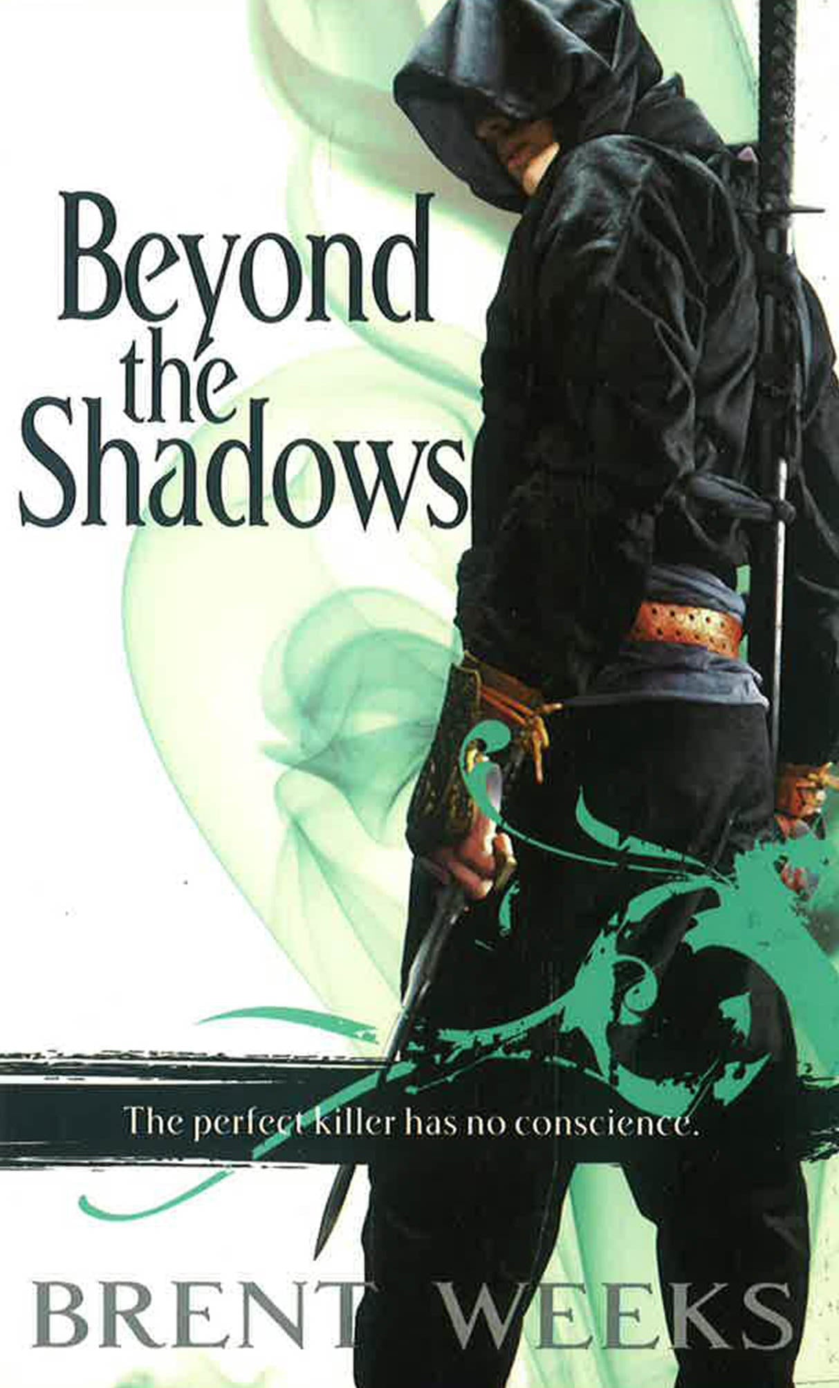 Shadow Beyond Beyond The Shadows – BookXcess