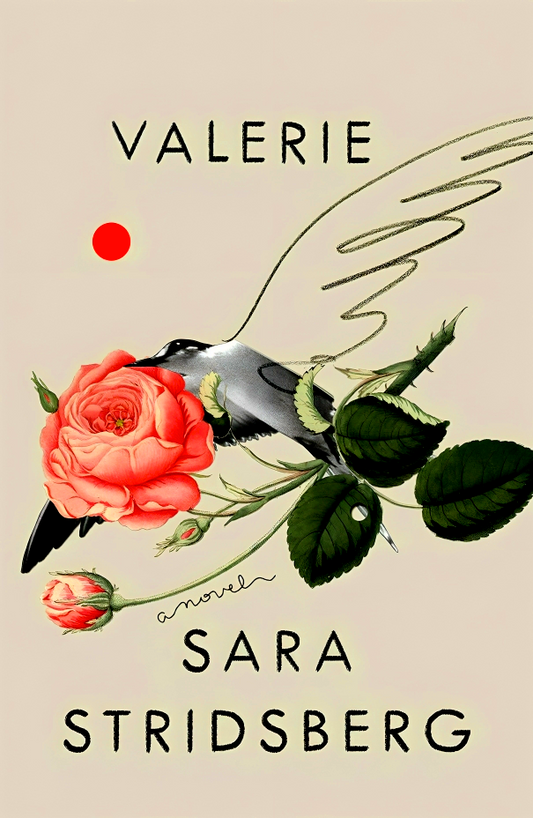 Valerie: Or, the Faculty of Dreams: A Novel