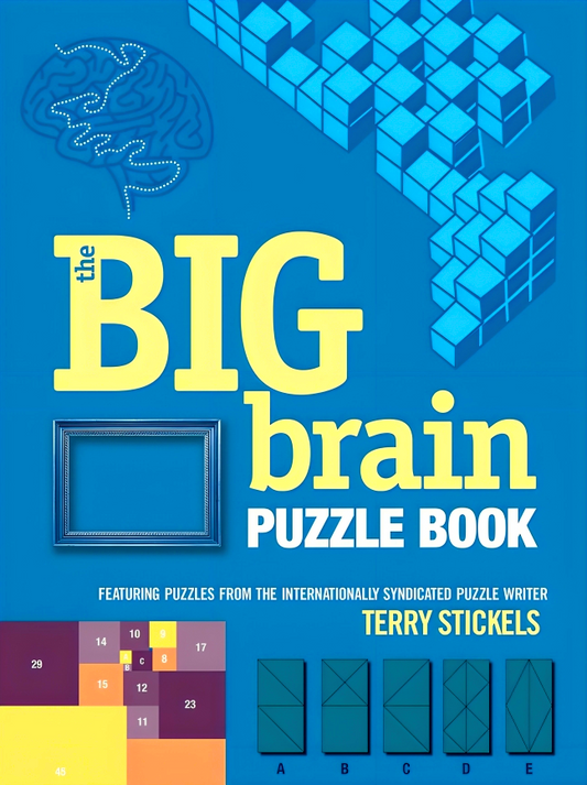 The Big Brain Puzzle Book