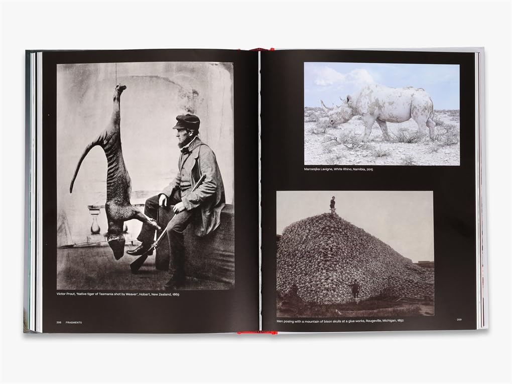 Why We Photograph Animals by Huw Lewis-Jones – book cover