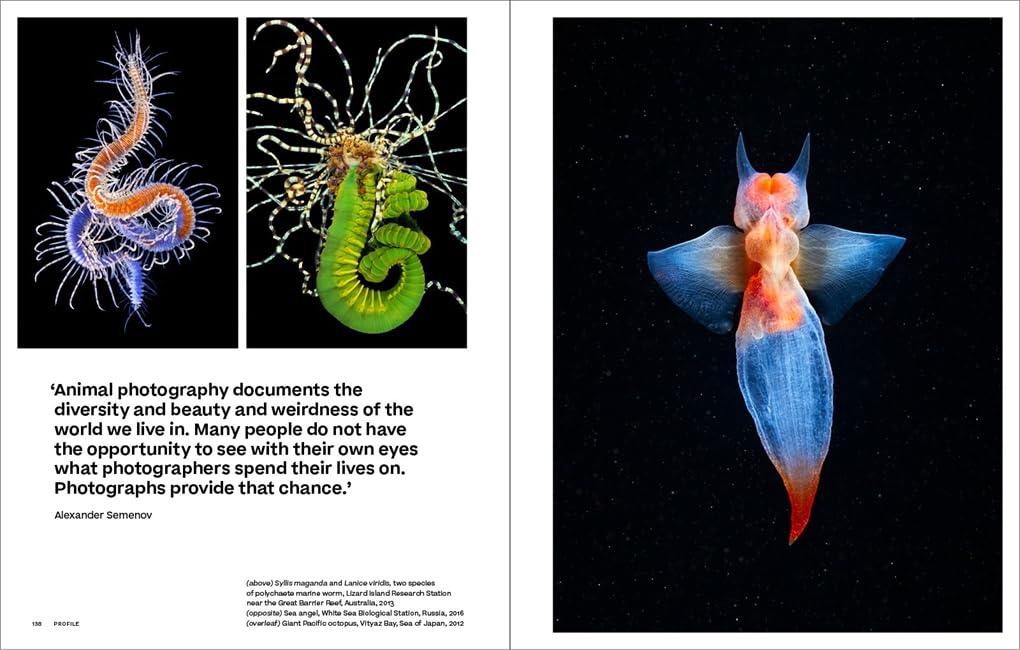 Why We Photograph Animals by Huw Lewis-Jones – book cover