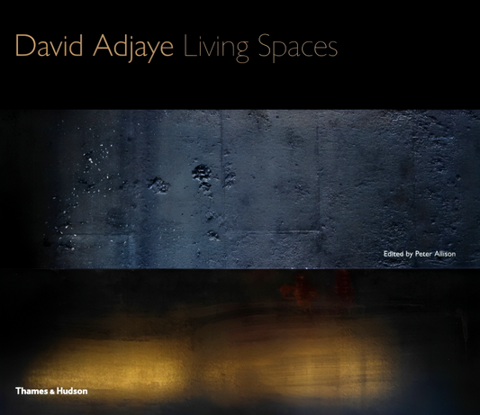 David Adjaye: Living Spaces