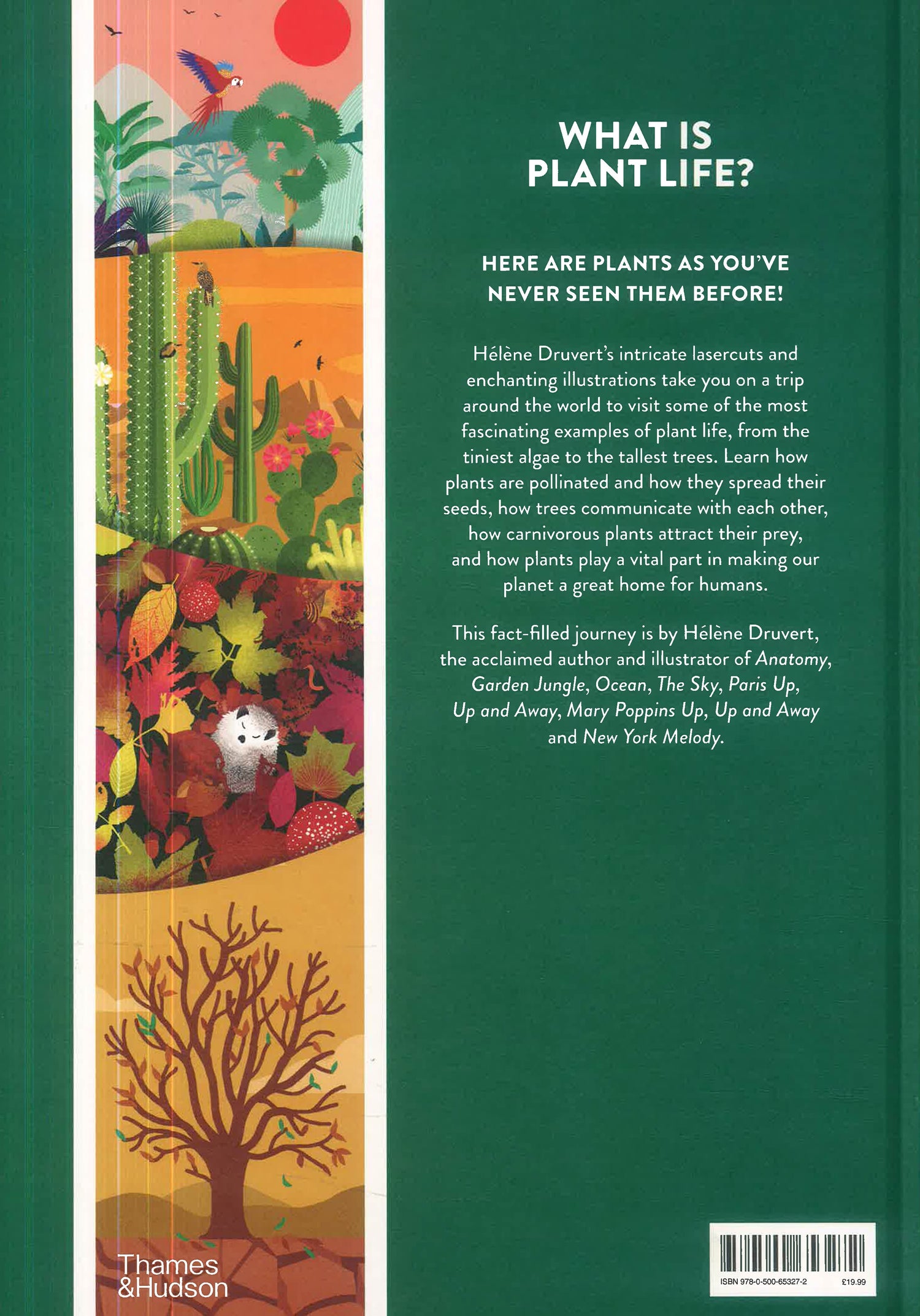 Plant Life by Helene Druvert – book cover