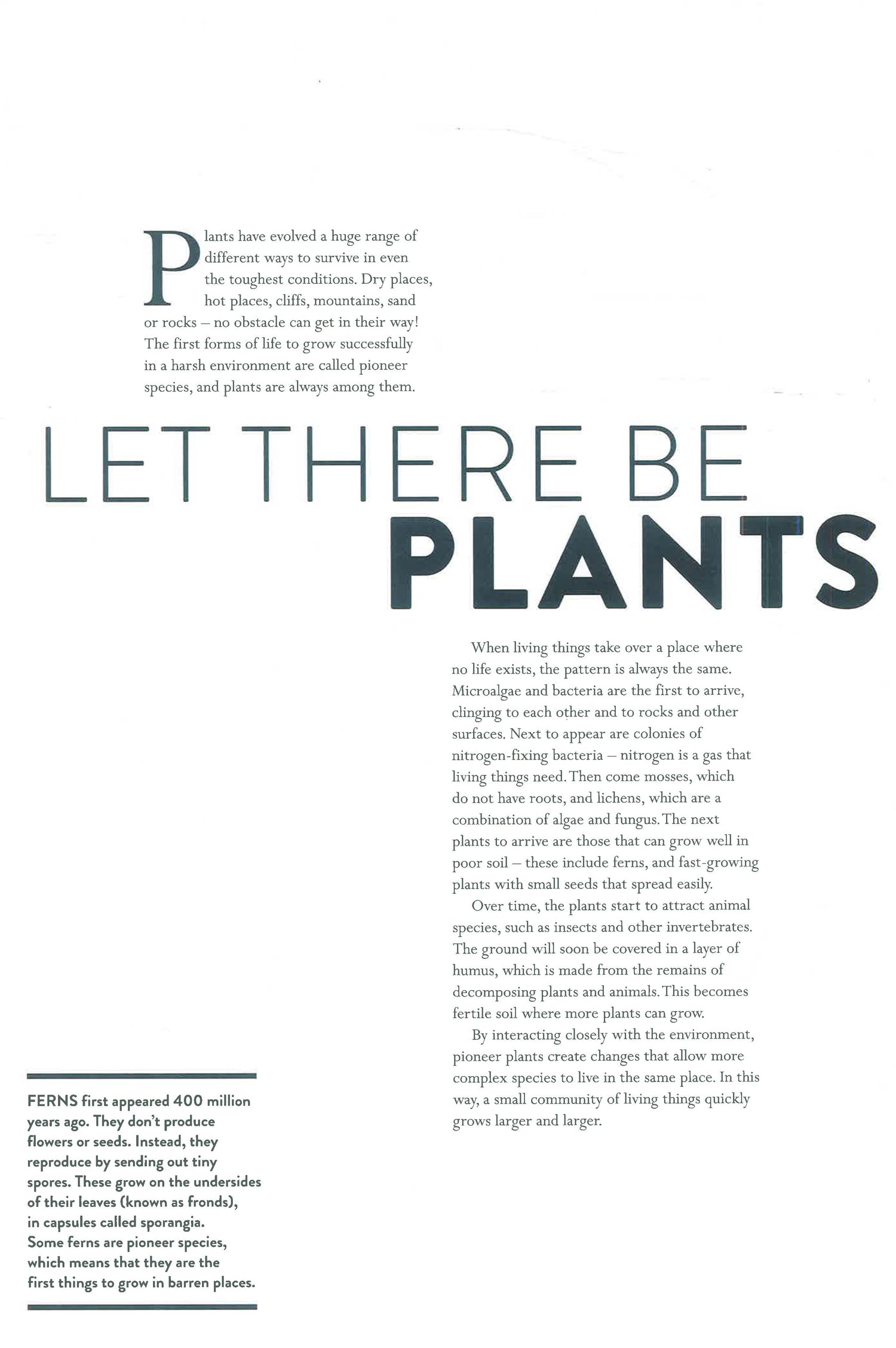 Plant Life by Helene Druvert – book cover