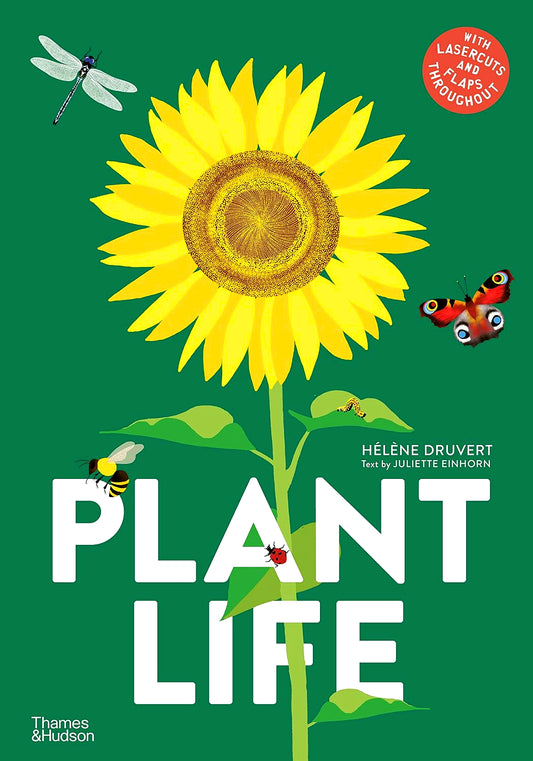 Plant Life