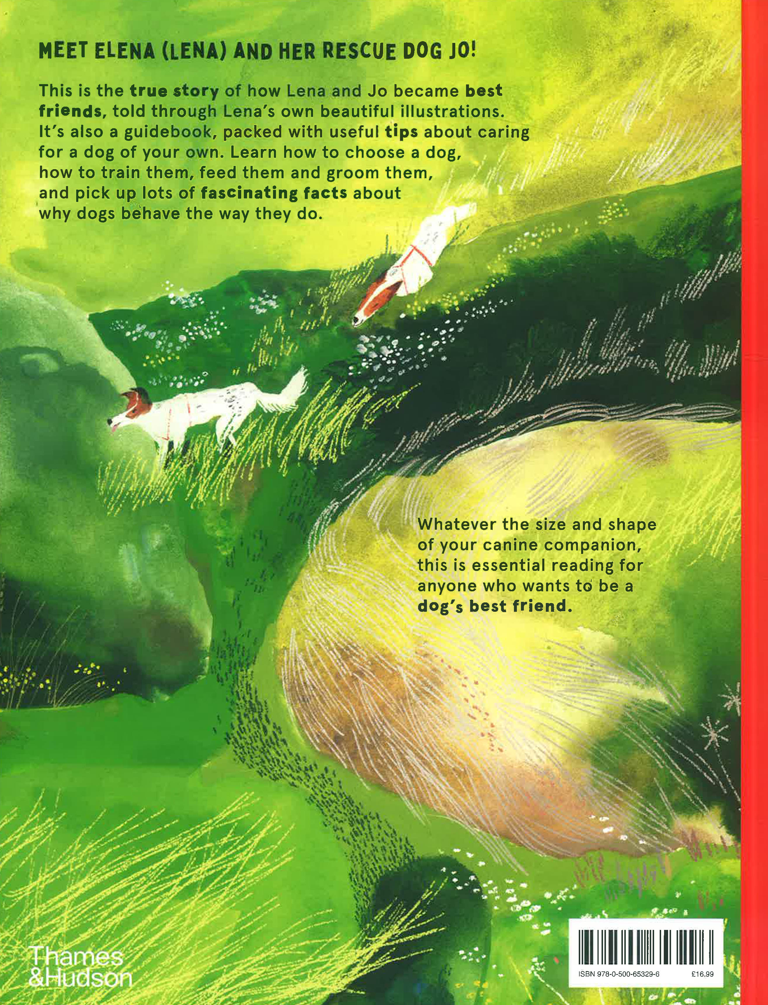 Translation missing: en.sections.featured_product.gallery_thumbnail_alt
