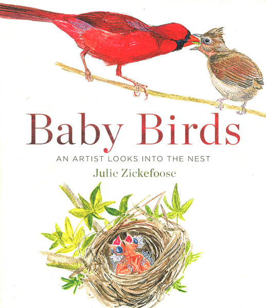 Baby Birds: An Artist Looks Into The Nest