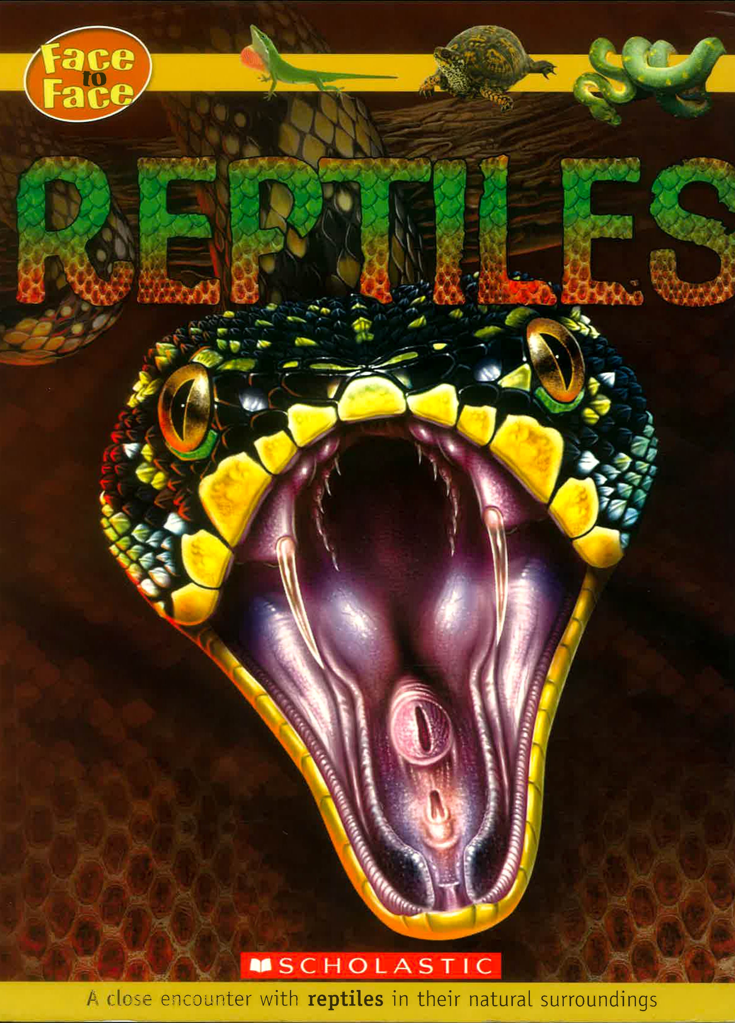 Toothless Rattlesnake Book Reptiles – BookXcess