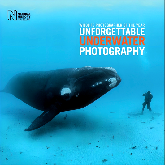 Wildlife Photographer Of The Year: Unforgettable Underwater Photography