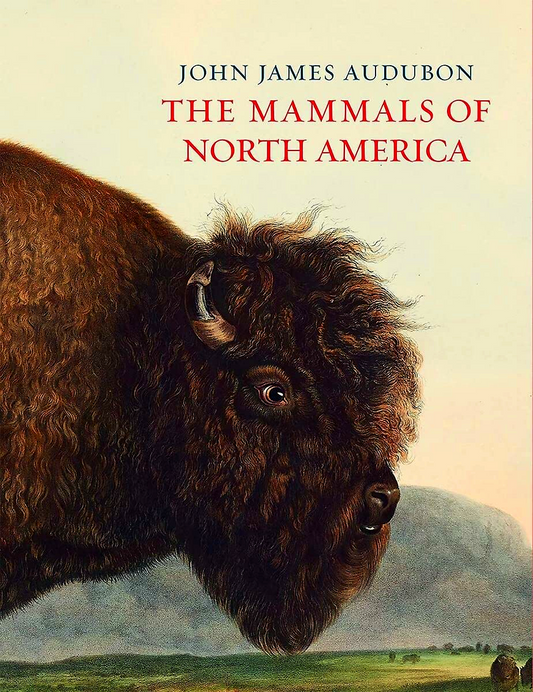 The Mammals Of North America