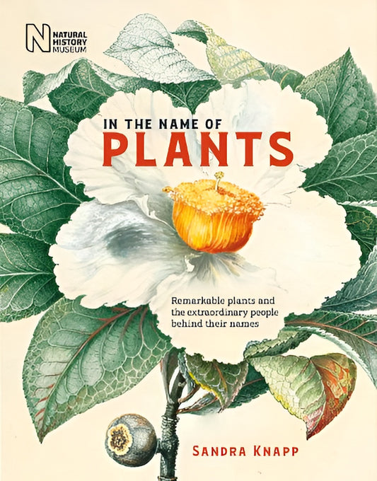 In The Name Of Plants