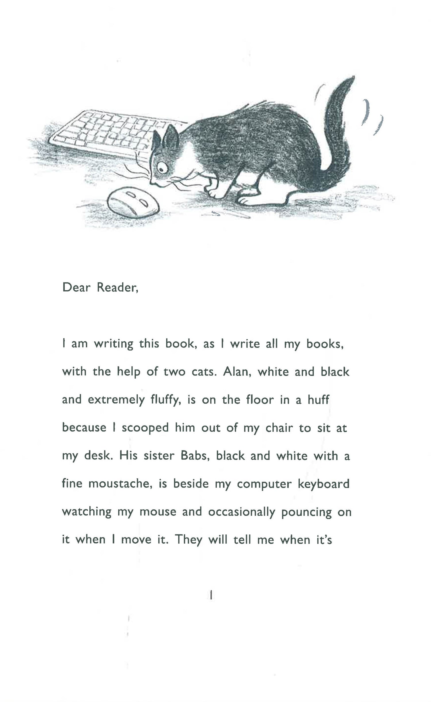 Bookbot Cats The Book Cat – BookXcess