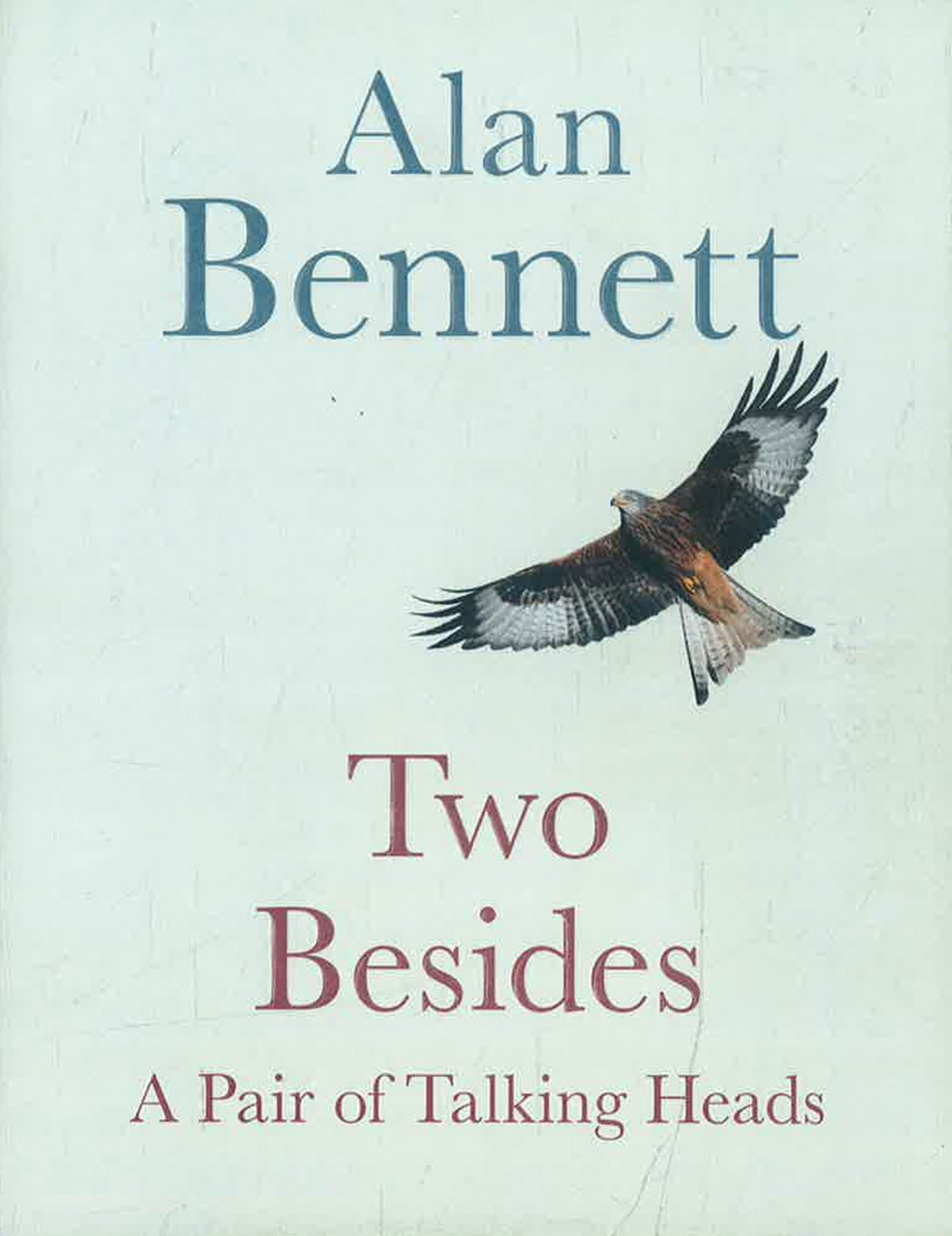 Two Besides: A Pair of Talking Heads – BookXcess