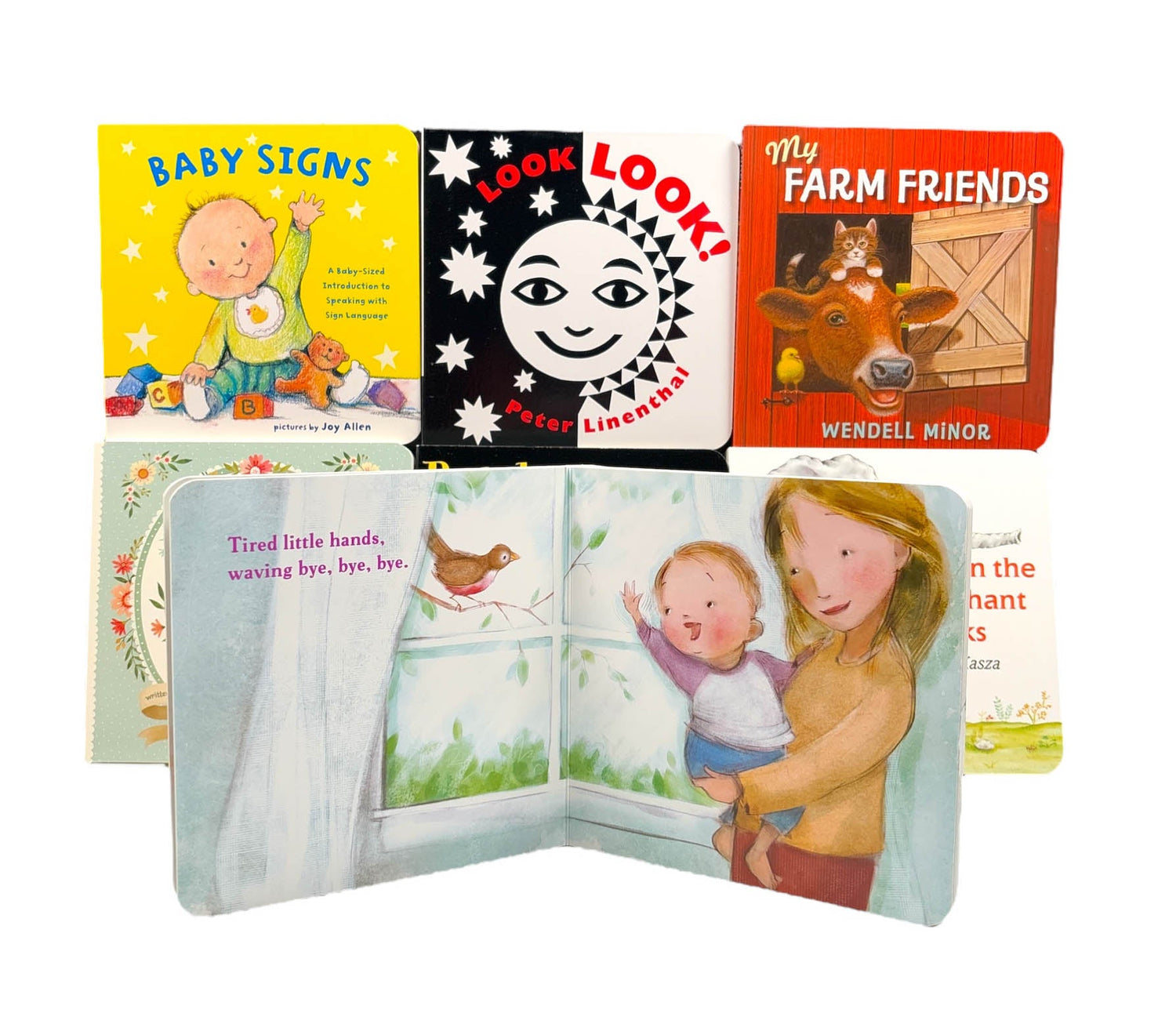 Baby First Library Color Baby's First Library (Box Set Of 8 Bb) – BookXcess