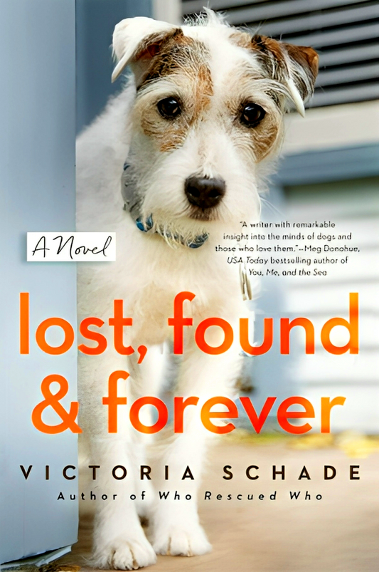 (Original Price RM19.90) Lost, Found & Forever: A Novel