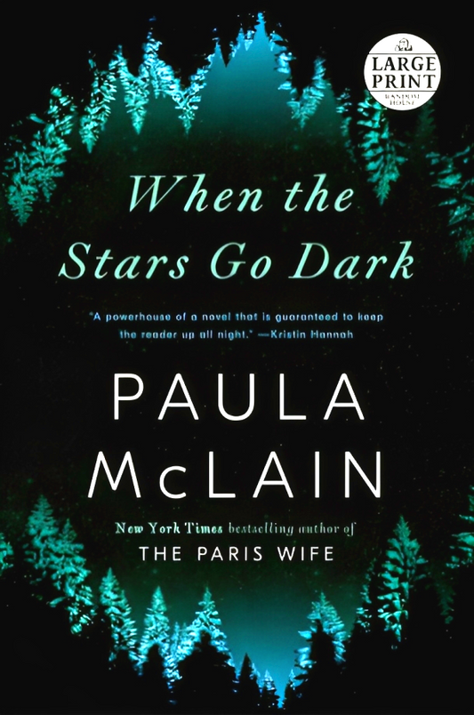 When the Stars Go Dark: A Novel