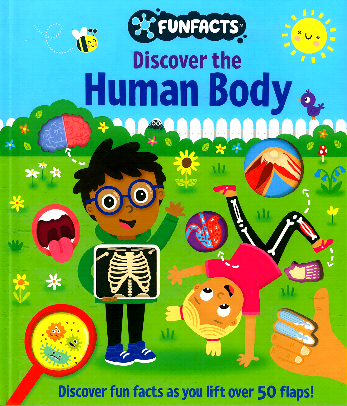 Little Olive: Funfacts - Lift The Flap Board Book - Discover The Human Body by Little Olive – book cover
