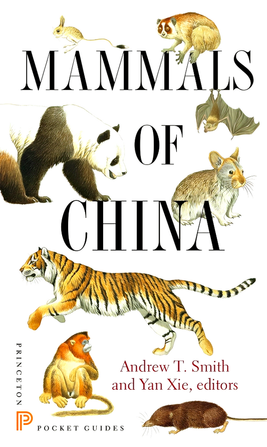 Mammals Of China