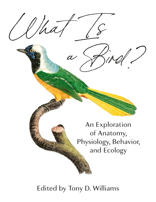 What Is a Bird?: An Exploration of Anatomy, Physiology, Behavior, and Ecology
