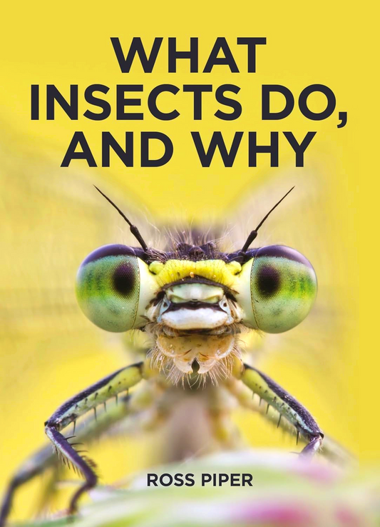 What Insects Do, And Why