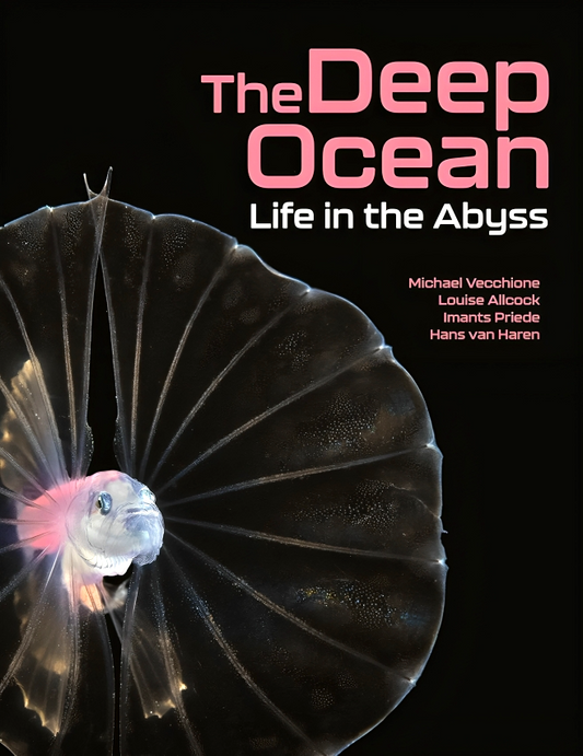 The Deep Ocean: Life In The Abyss