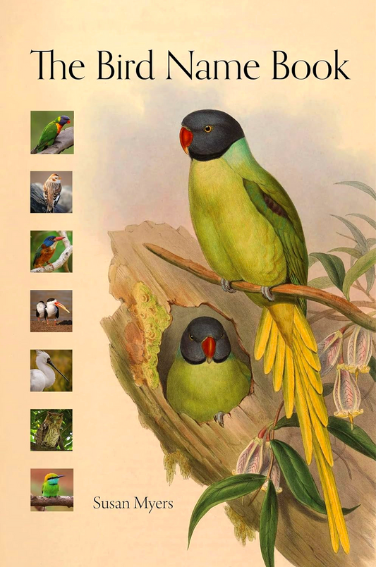 The Bird Name Book: A History of English Bird Names