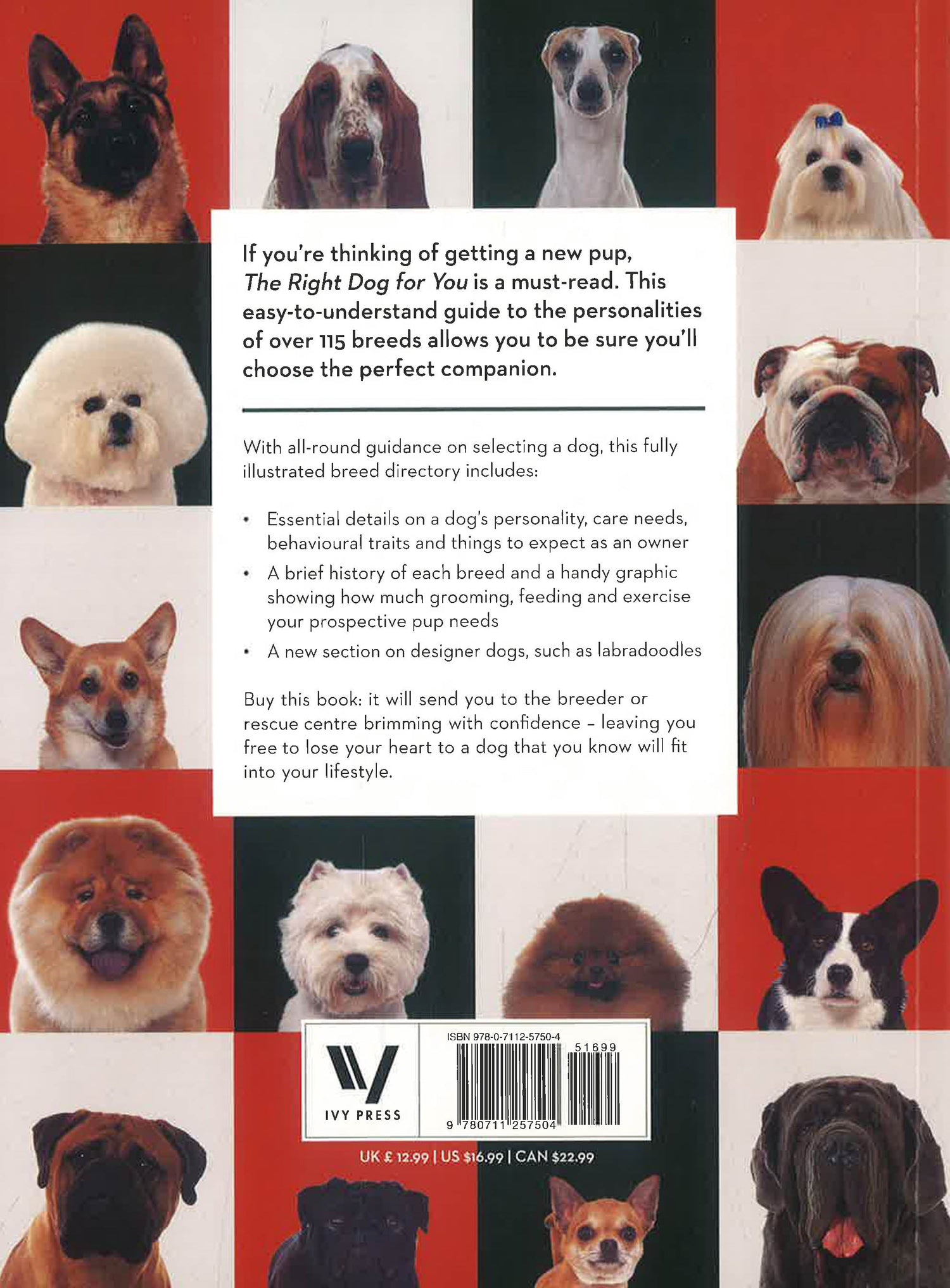 Dog Breeds First Dog Guide Adopt Best Dog Breed For New Dog Owners