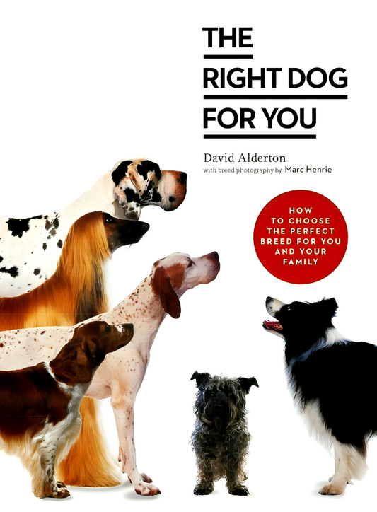 The Right Dog for You: How to choose the perfect breed for you and your family