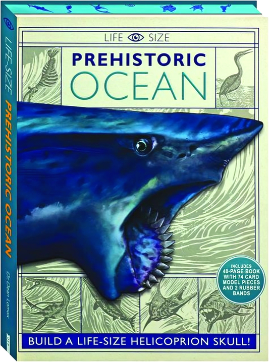 Life Size - Prehistoric Ocean