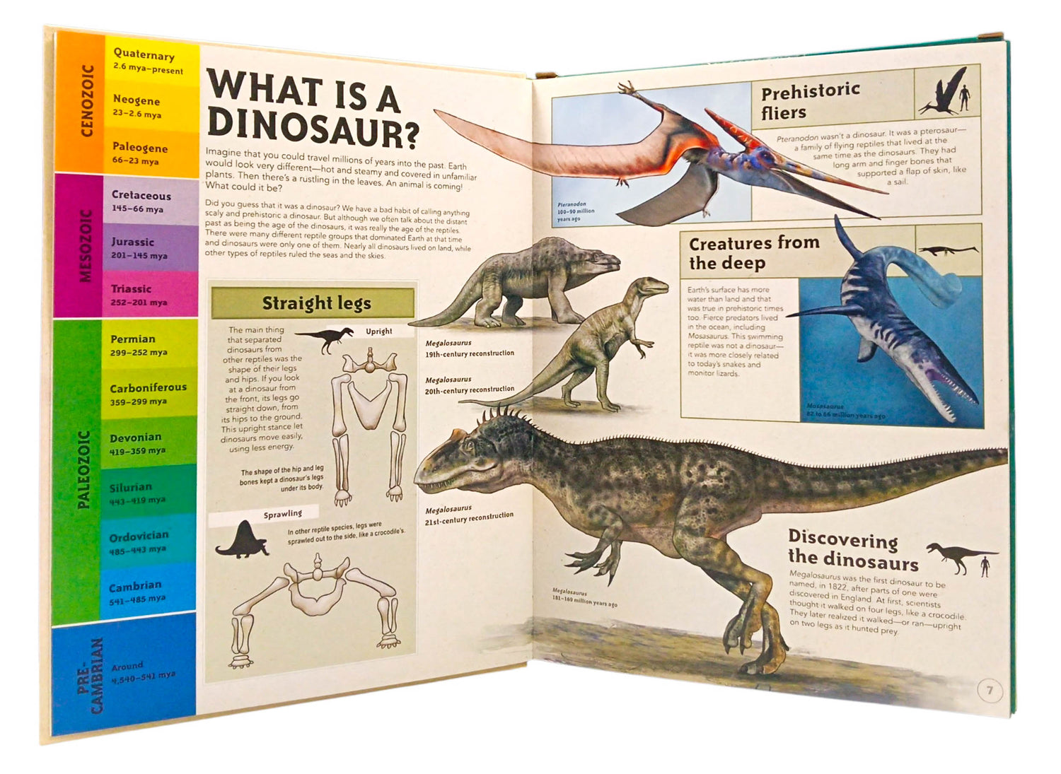 Life Size - Dinosaurs by Nancy Dickmann – book cover