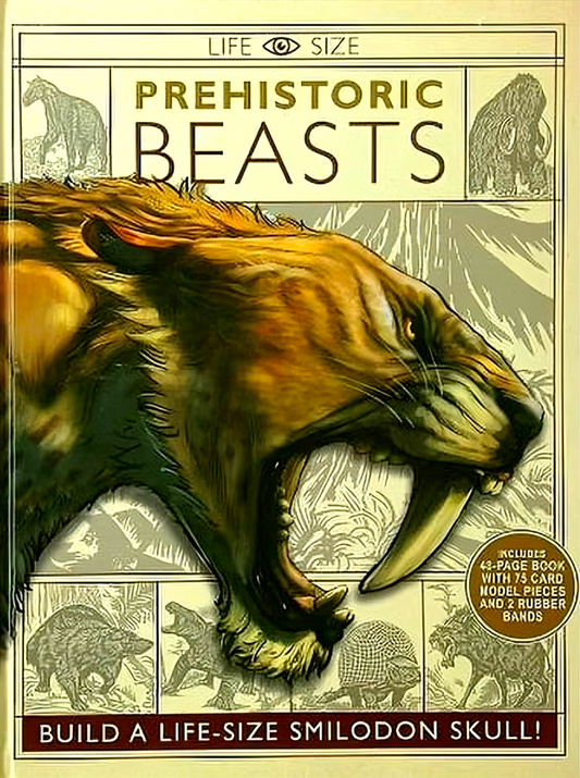 Life Size - Prehistoric Beasts