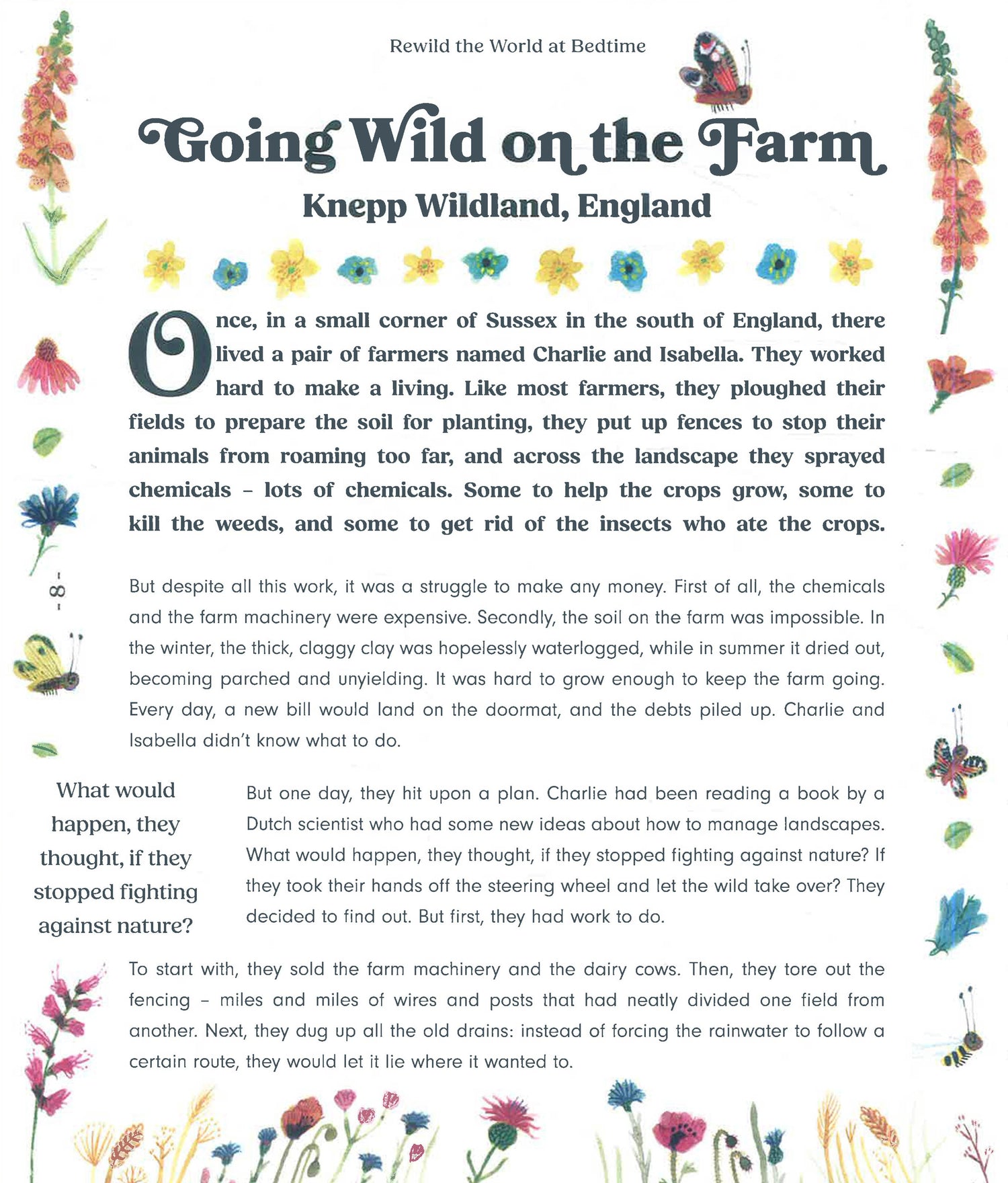 Rewild The World At Bedtime by Emily Hawkins – book cover