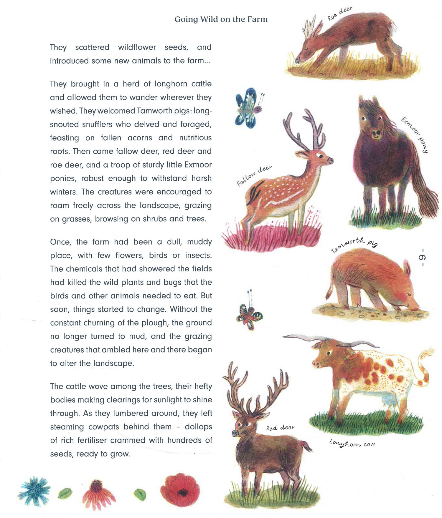 Rewild The World At Bedtime by Emily Hawkins – book cover