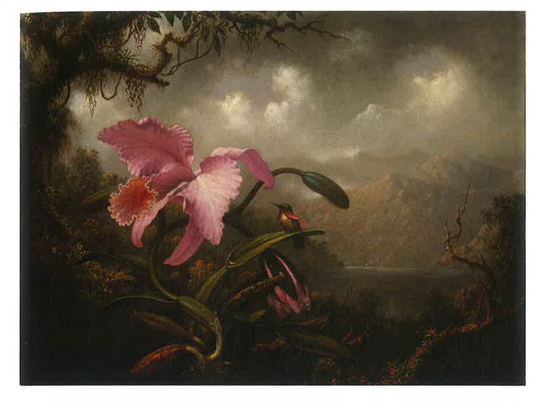 Translation missing: en.sections.featured_product.gallery_thumbnail_alt
