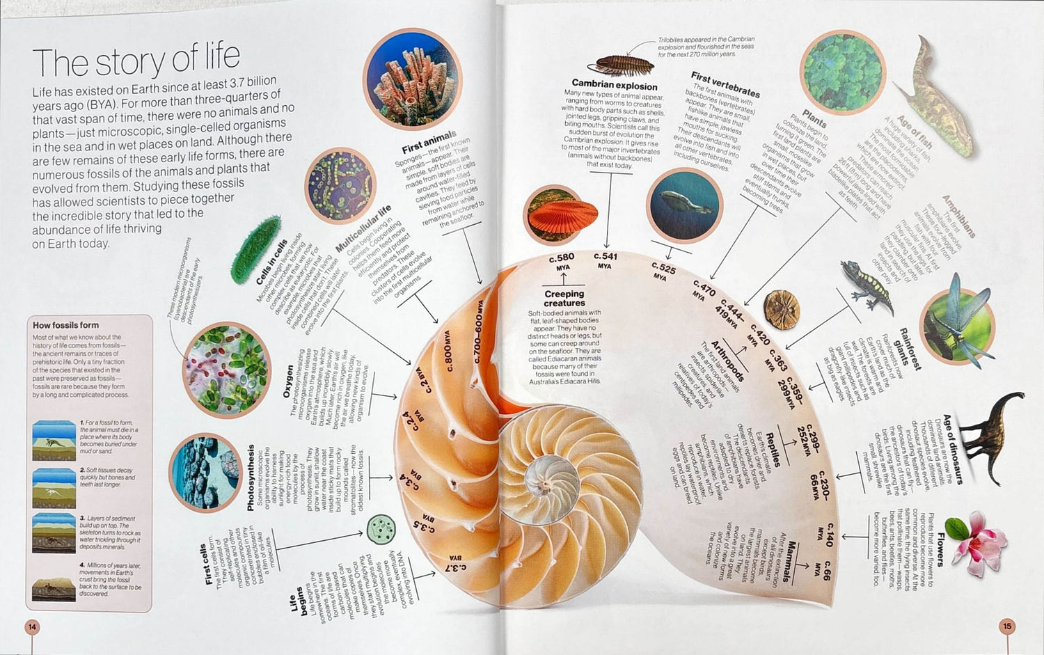 Science Journal Timeline Timelines Of Science – BookXcess