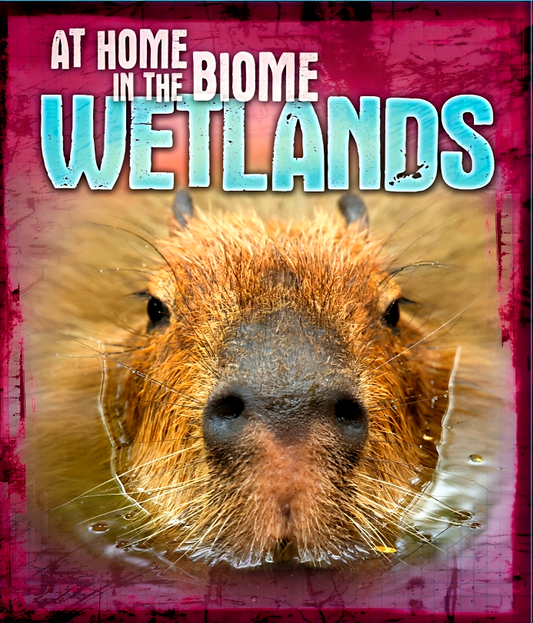 At Home With The Biome: Wetlands